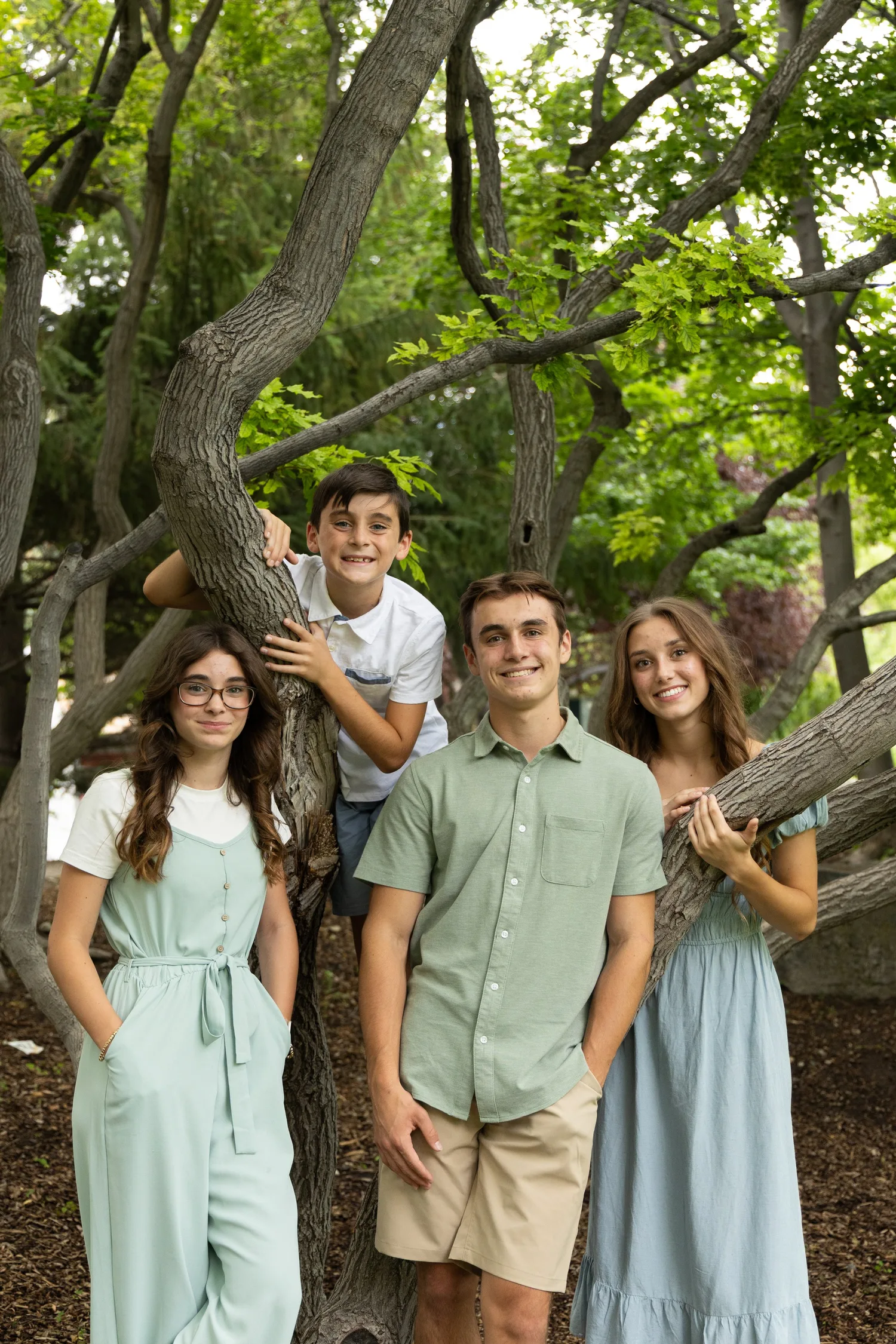 Four siblings posing in and around a twisted tree