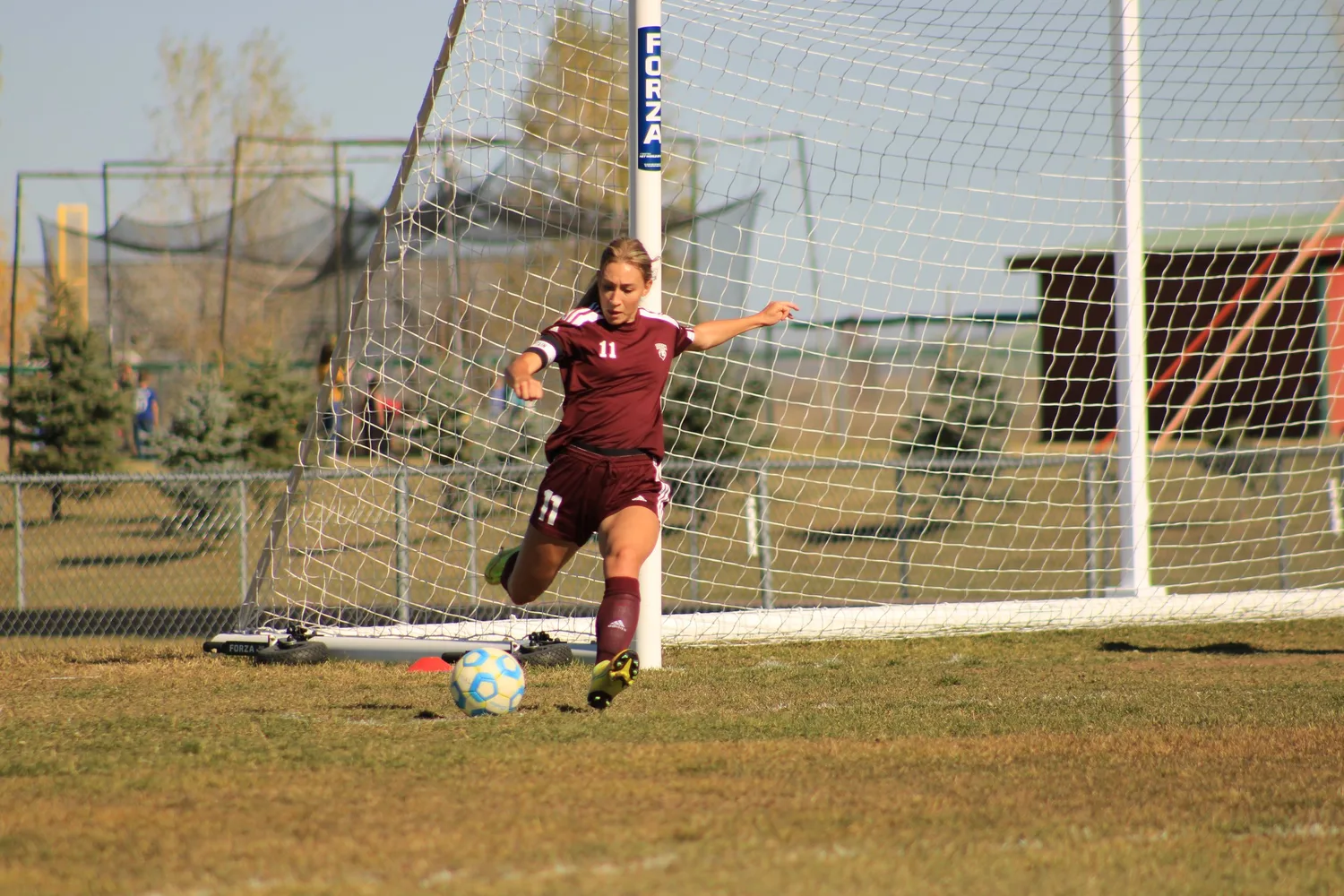 Soccer player kicking the ball near the goal