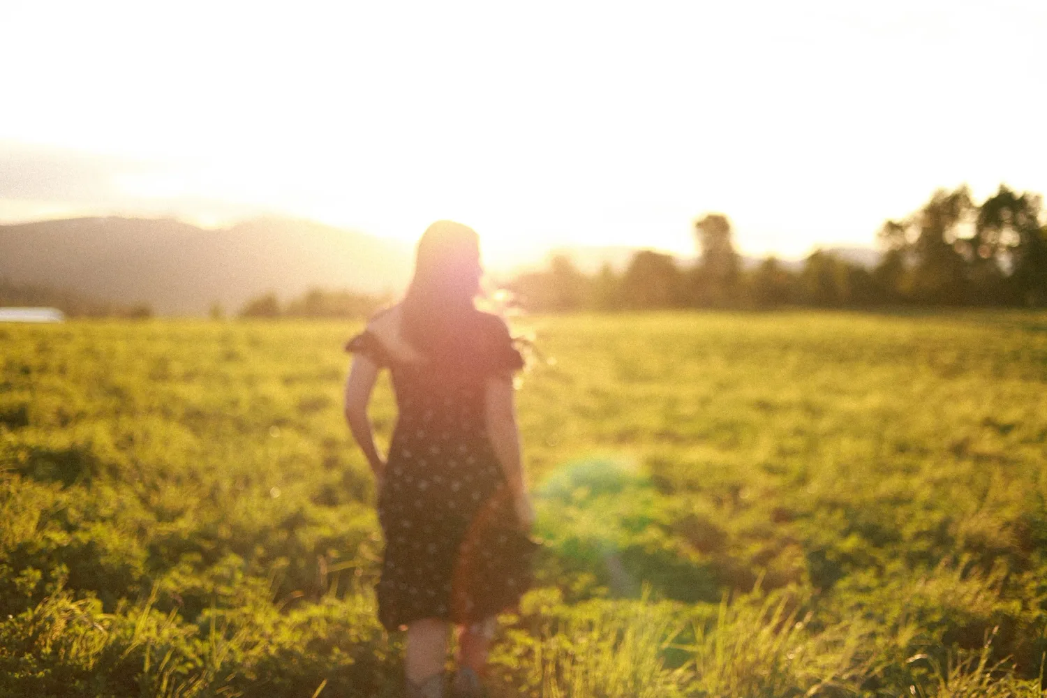 Woman in a dress walking into a golden sunset across a field