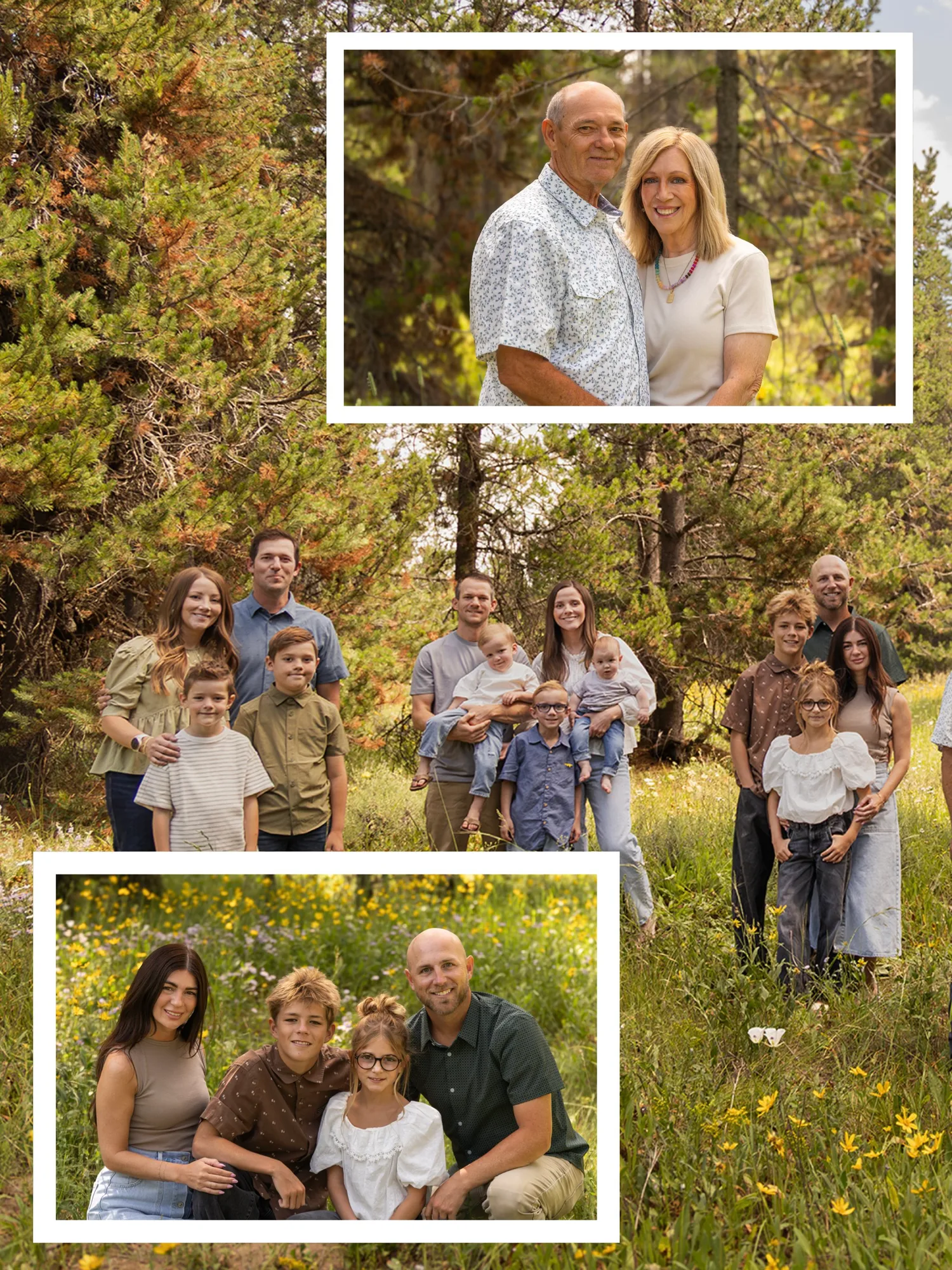 Collage of extended family portraits taken in a wildflower meadow