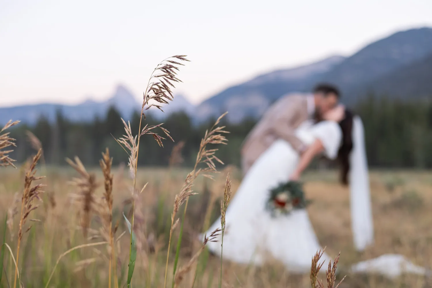 Groom dipping his bride for a kiss in a tall-grass meadow with mountains behind them