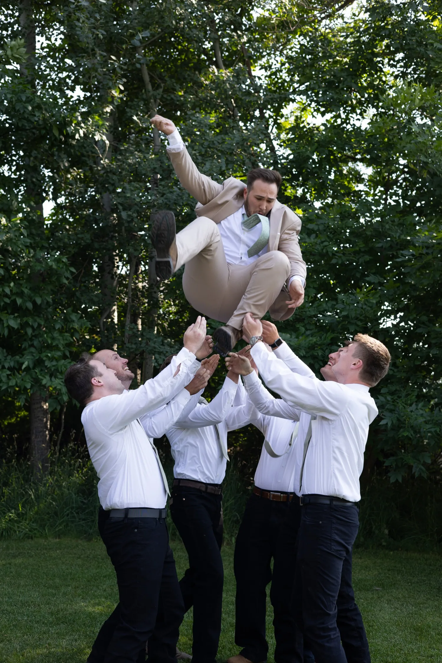 Groomsmen tossing the groom into the air on a lawn